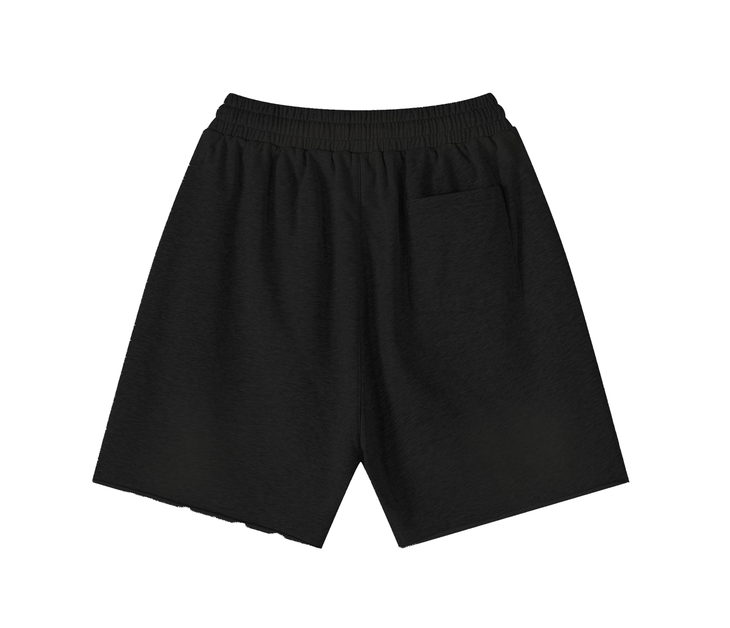 TwoFace athletic shorts (Pre-Order)